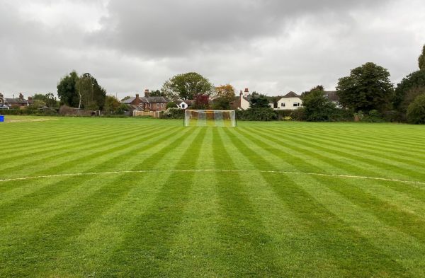 SFA Pitch 2