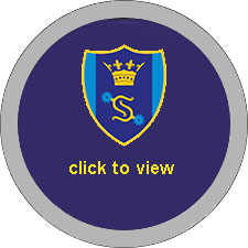 round SHS click to view button